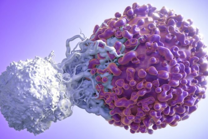 T cell attacking cancer cell