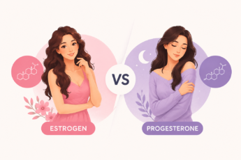 estrogen and progesterone