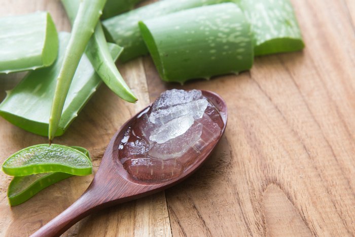 What Is Aloe Vera? What Is Aloe Vera?