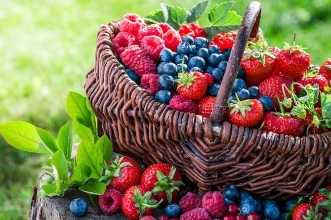 healthy lifestyle rules