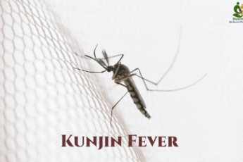 About West Nile virus or Kunjin Fever