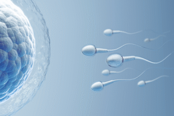 How to Tell If Sperm Entered the Vagina