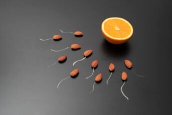 Increase Sperm Count Natural