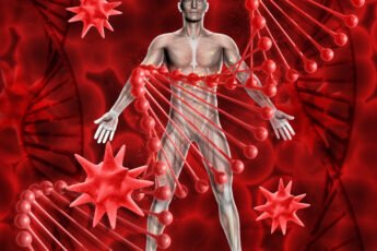 maximum blood in human body