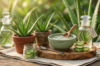 Aloe Vera Benefits