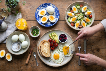 Egg Nutrition